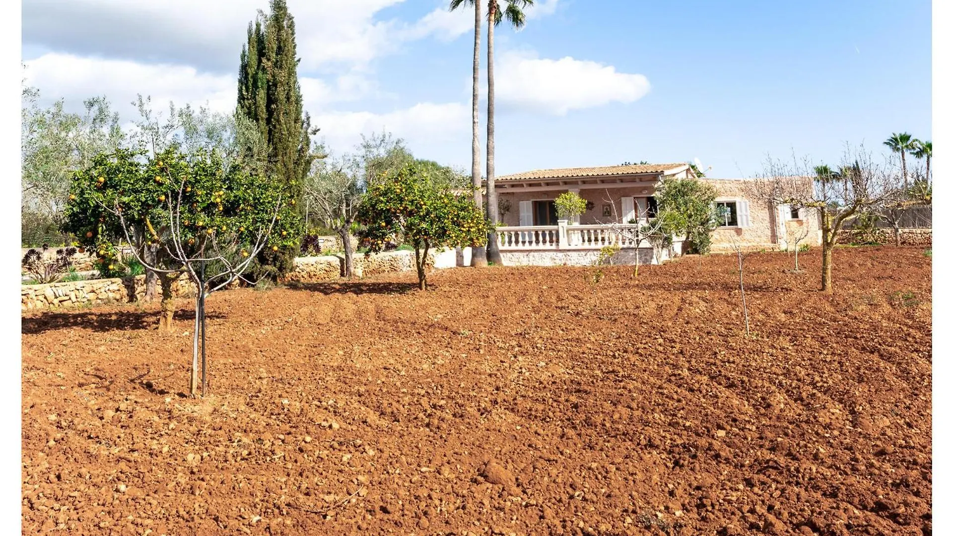 3 Bedroom Stunning Home In SAlquería Blanca Semesterbostad